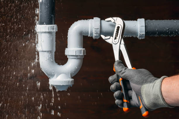 Professional Plumbing technician working in Shepherd, MI